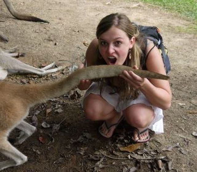 Kirsche - Frohnatur!