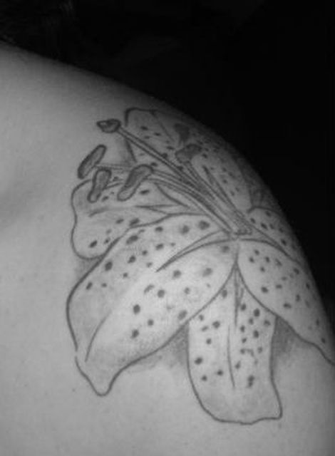 MetalDom - Junge Domina sucht Sklaven!