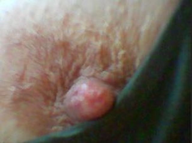 Instinkt - Grosser Penis gesucht!