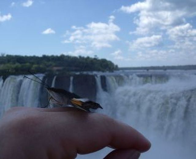 Mari38 - Bist du auch oft geil?